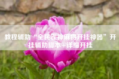 教程辅助“全民雀神麻将开挂神器”开挂辅助脚本+详细开挂