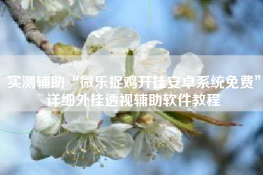 实测辅助“微乐捉鸡开挂安卓系统免费”详细外挂透视辅助软件教程