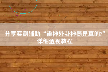 分享实测辅助“雀神外卦神器是真的?”详细透视教程