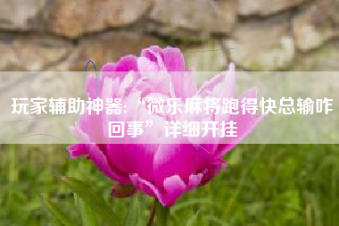 玩家辅助神器:“微乐麻将跑得快总输咋回事”详细开挂