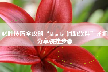 必胜技巧全攻略“hhpoker辅助软件”详细分享装挂步骤