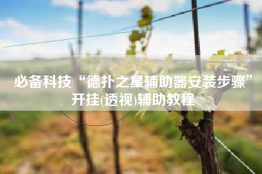 必备科技“德扑之星辅助器安装步骤”开挂(透视)辅助教程