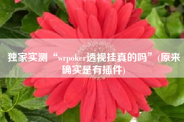独家实测“wrpoker透视挂真的吗”(原来确实是有插件)