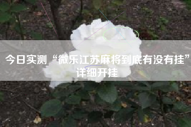 今日实测“微乐江苏麻将到底有没有挂	”详细开挂