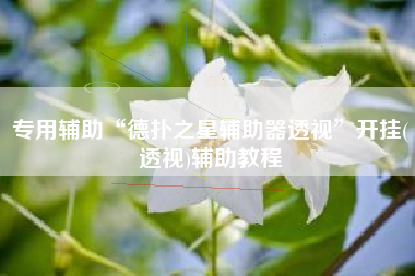 专用辅助“德扑之星辅助器透视”开挂(透视)辅助教程