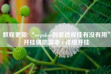 教程更新!“wepoker到底透视挂有没有用”开挂辅助脚本+详细开挂