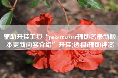 辅助开挂工具“pokermaster辅助器最新版本更新内容介绍”开挂(透视)辅助神器