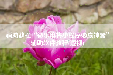 辅助教程“微乐麻将小程序必赢神器	”辅助软件教程(透视)