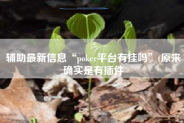 辅助最新信息“poker平台有挂吗”(原来确实是有插件