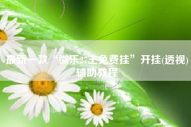 最新一款“微乐27王免费挂	”开挂(透视)辅助教程
