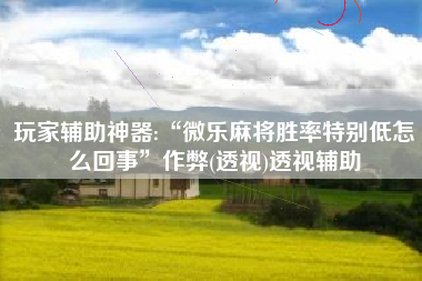 玩家辅助神器:“微乐麻将胜率特别低怎么回事”作弊(透视)透视辅助