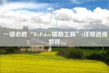 一键必胜“WePoker辅助工具	”(详细透视教程)