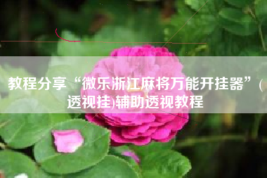 教程分享“微乐浙江麻将万能开挂器”(透视挂)辅助透视教程