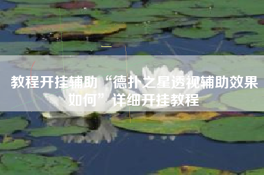 教程开挂辅助“德扑之星透视辅助效果如何”详细开挂教程