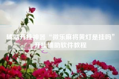 辅助开挂神器“微乐麻将黄灯是挂吗	”开挂辅助软件教程