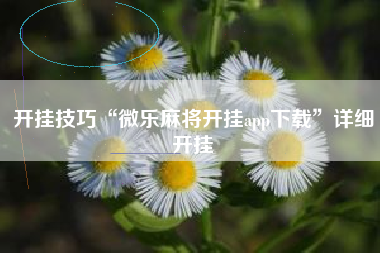 开挂技巧“微乐麻将开挂app下载”详细开挂