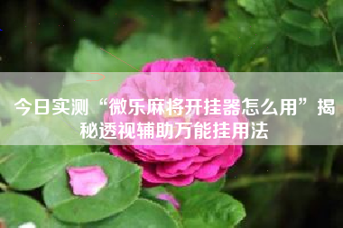 今日实测“微乐麻将开挂器怎么用”揭秘透视辅助万能挂用法