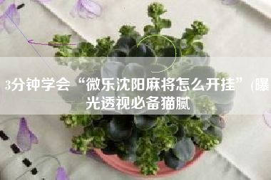 3分钟学会“微乐沈阳麻将怎么开挂”(曝光透视必备猫腻