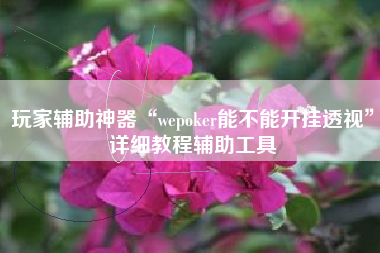 玩家辅助神器“wepoker能不能开挂透视	”详细教程辅助工具