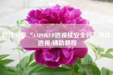 软件分享“AAPOKER透视挂安全吗	”开挂(透视)辅助教程