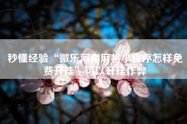 秒懂经验“微乐河南麻将小程序怎样免费开挂	”可以开挂作弊