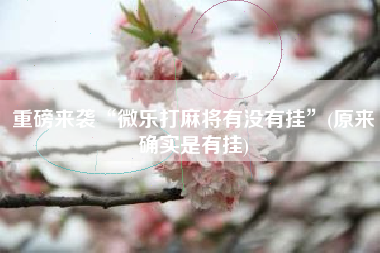 重磅来袭“微乐打麻将有没有挂	”(原来确实是有挂)