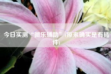 今日实测“微乐辅助”(原来确实是有插件)
