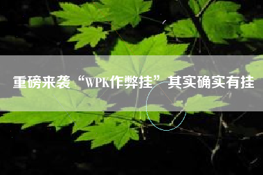 重磅来袭“WPK作弊挂”其实确实有挂