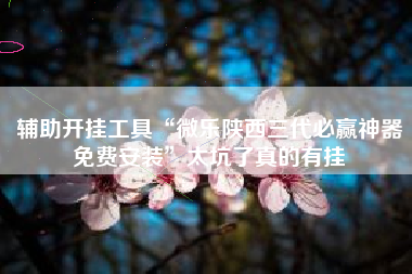 辅助开挂工具“微乐陕西三代必赢神器免费安装	”太坑了真的有挂