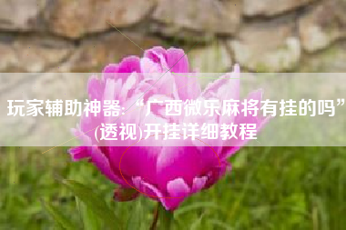 玩家辅助神器:“广西微乐麻将有挂的吗	”(透视)开挂详细教程