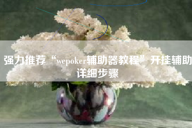 强力推荐“wepoker辅助器教程”开挂辅助详细步骤