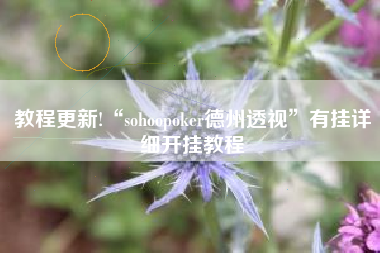 教程更新!“sohoopoker德州透视”有挂详细开挂教程