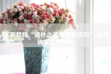 实测教程“德扑之星有辅助挂吗	”(原来确实是有插件)