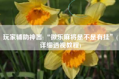 玩家辅助神器:“微乐麻将是不是有挂	”(详细透视教程)
