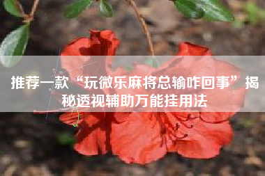 推荐一款“玩微乐麻将总输咋回事”揭秘透视辅助万能挂用法