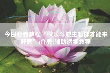 今日必看教程“微乐斗地主怎样才能来好牌”(作弊)辅助透视教程