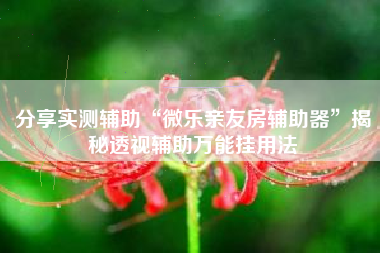分享实测辅助“微乐亲友房辅助器	”揭秘透视辅助万能挂用法