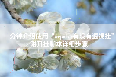 一分钟介绍使用“wepoker有没有透视挂	”附开挂脚本详细步骤
