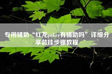 专用辅助“红龙poker有辅助吗”详细分享装挂步骤教程