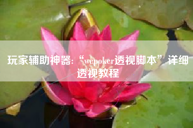 玩家辅助神器:“wepoker透视脚本”详细透视教程