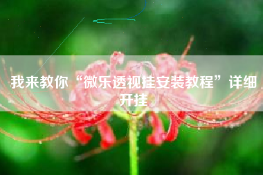 我来教你“微乐透视挂安装教程	”详细开挂