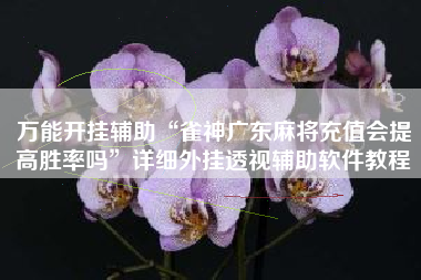 万能开挂辅助“雀神广东麻将充值会提高胜率吗	”详细外挂透视辅助软件教程