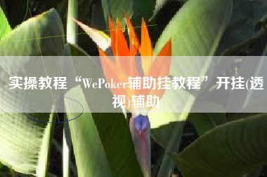 实操教程“WePoker辅助挂教程”开挂(透视)辅助