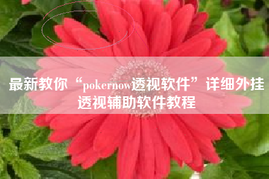 最新教你“pokernow透视软件	”详细外挂透视辅助软件教程