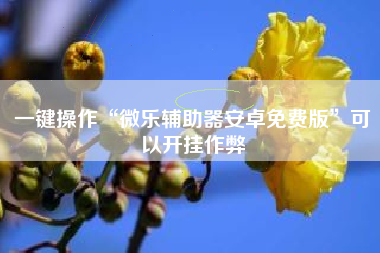 一键操作“微乐辅助器安卓免费版	”可以开挂作弊