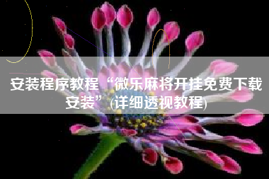 安装程序教程“微乐麻将开挂免费下载安装”(详细透视教程)