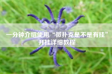 一分钟介绍使用“微扑克是不是有挂	”开挂详细教程