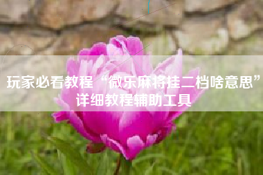 玩家必看教程“微乐麻将挂二档啥意思	”详细教程辅助工具