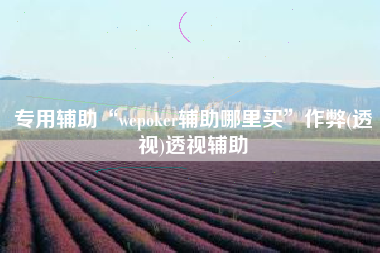 专用辅助“wepoker辅助哪里买	”作弊(透视)透视辅助