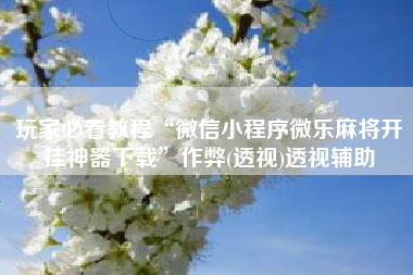 玩家必看教程“微信小程序微乐麻将开挂神器下载	”作弊(透视)透视辅助